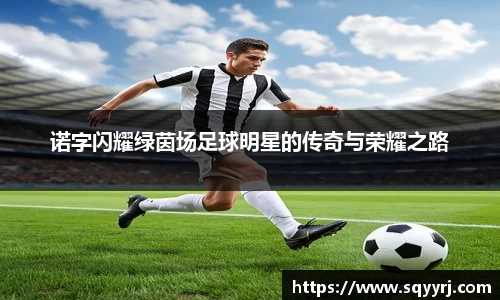 诺字闪耀绿茵场足球明星的传奇与荣耀之路